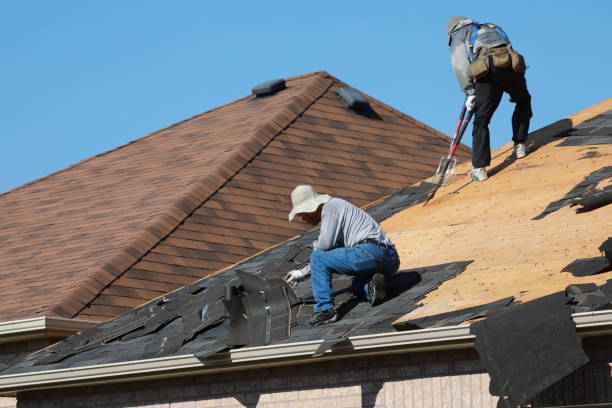 Best Roof Coating and Sealing  in Lexington, NE