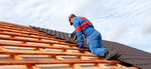 Best Rubber Roofing (EPDM, TPO)  in Lexington, NE